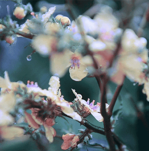 tumblr_ntudj1PaDv1tic679o1_500.gifv