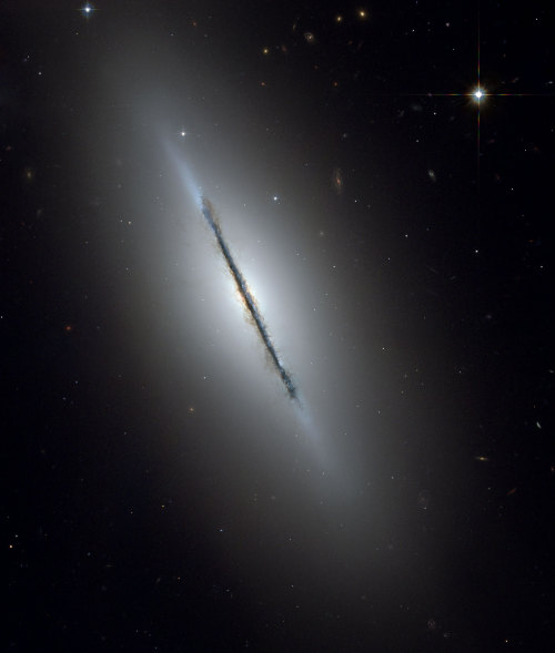 Galassia Lenticolare NGC 5866 (Galassia Fuso) Credits: NASA, ESA, and The Hubble Heritage Team STScI