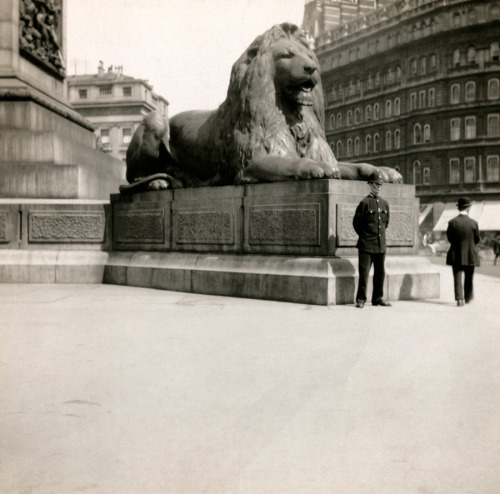 The bronze lion at the Nelson Monument in Trafalgar Square, September 1915.Photograph by Emil P. Alb