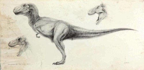 talesfromweirdland:T-Rex designs by Mark McCreery, for Jurassic Park (1993). A great design too, alt