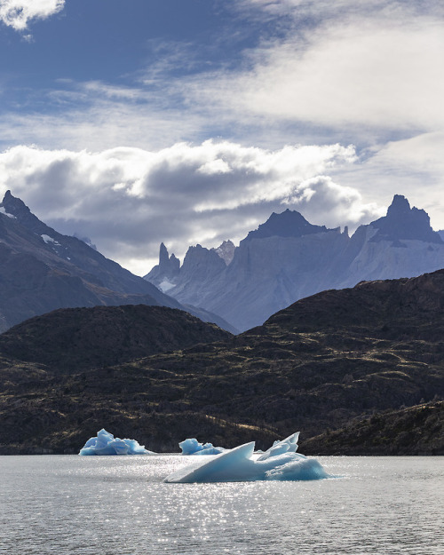 geologicaltravels:2016: Lago Grey and eponymous glacier