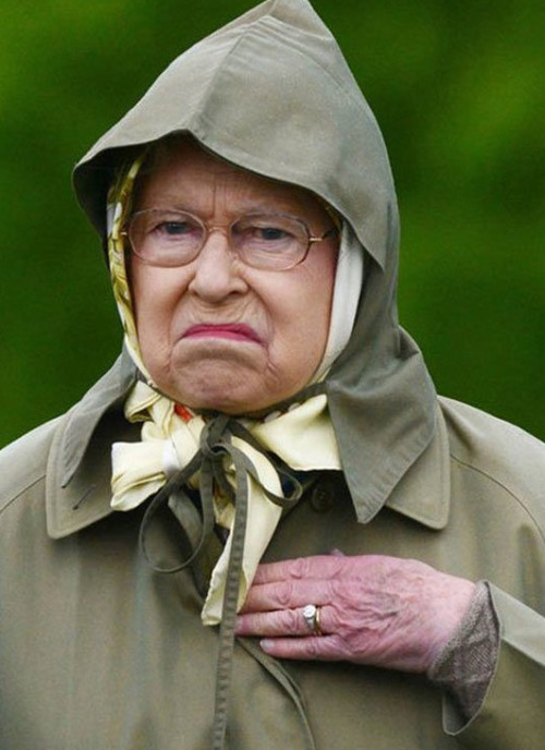 toratiger:  God save the Queen. She is too cute.