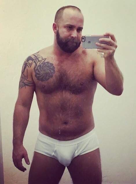 Hungry for Bears