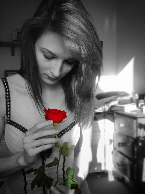 kitty-in-training:Photos I took with one of the first roses Dan ever brought me.   These are so beautiful.