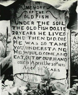 Mrs. Keyte of Blockley, Gloucestershire had a pet trout that would eat worms from her hand. When it died in 1855, she erected a tombstone in its honor. That tombstone remains one of the most popular tourist attractions in Blockley. And it&rsquo;s perhaps