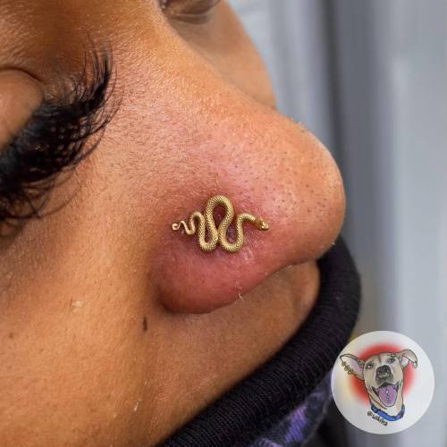 allthepiercingsandbodymods: Nostril piercing by wikilea. Snake jewellery by @anatometal. Follow her 
