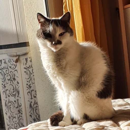 isa-ww:#meow