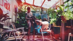 Hipsterblud: Back Porch Fun