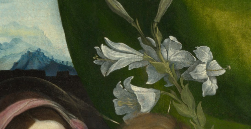 renaissance-art:Symbols in Renaissance ArtLilies: Found almost exclusively in annunciation scenes, t