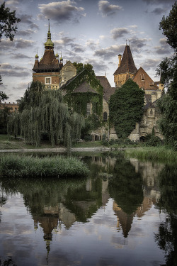 allthingseurope:  Vajdahunyad Castle, Hungary (by DIVCI KAMEN)