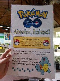 thefingerfuckingfemalefury:  snailkites:  Not in the job description: protecting native wildlife from Pokemon Trainers carrying Rana virus.   It hasn’t come to the park yet, but it’s nearby. This might be the month it shows up in our frogs and turtles.