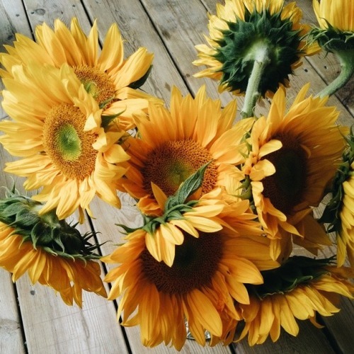 effervescentvibes:   good vibes here 