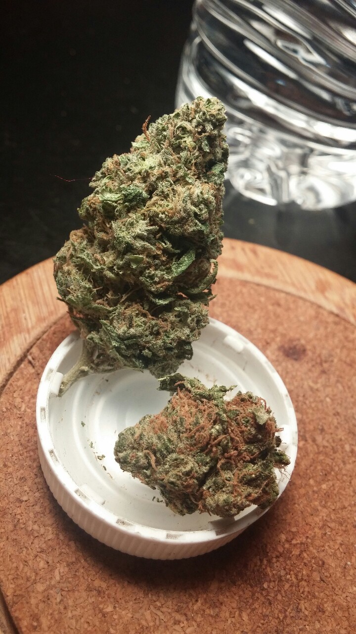 nothing-but-dank:  Dank little nug