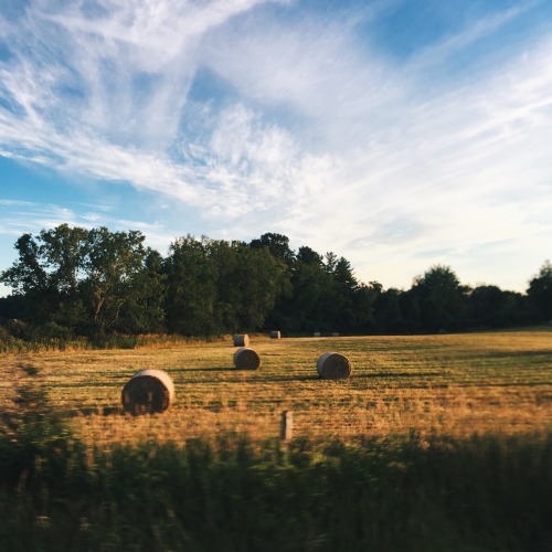 haybales