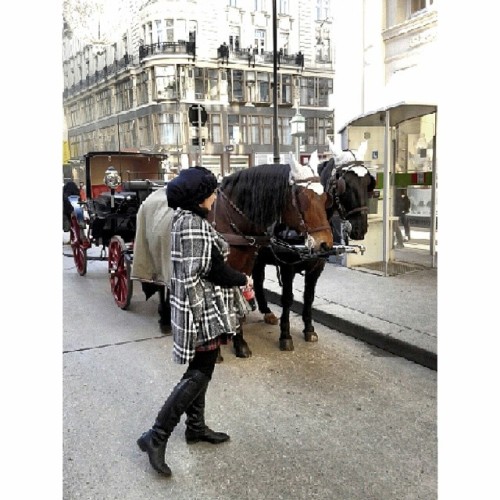 Me with these two #amazing horses #vienna #street #center #capeallthetime #ootd #fashion #outfit #ca