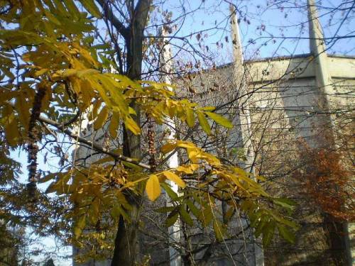 Autumn in Slowacki’s park in city Wroclaw, Poland, feat. Rotunda (a round building-museum with only 