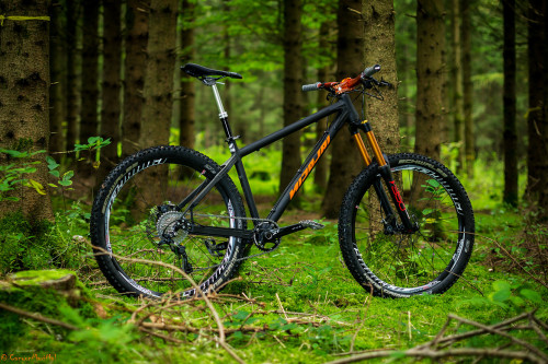 26tommer: mannaxc: A sexier hardtail there is not.  True