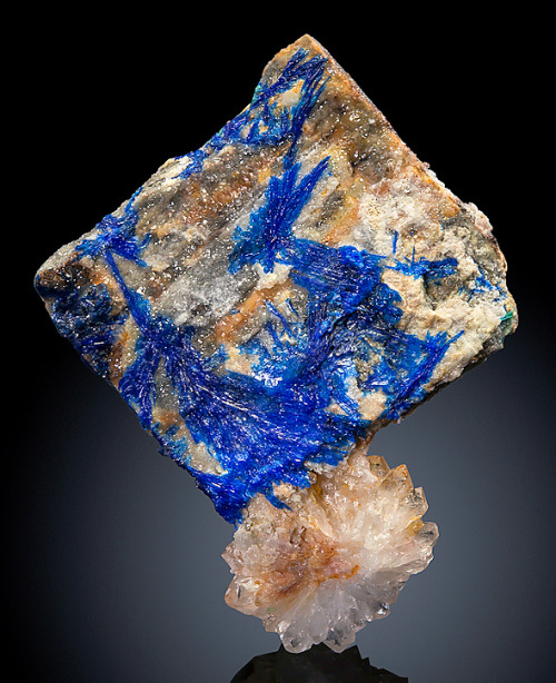 Blue Linarite on Anglesite-coated Galena on Quartz - Blanchard Mine, Bingham, Hansonburg District, S