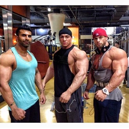 drwannabe:  Arvin Lall, Tristen Escolastico, Joey Sergo 