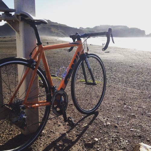 lowbicycles: Winter weekend vibes, California-style