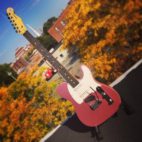 Autumn in New York with a Reverend Eastsider S in Satin Mulberry Mist #reverendguitars #eastsider #e