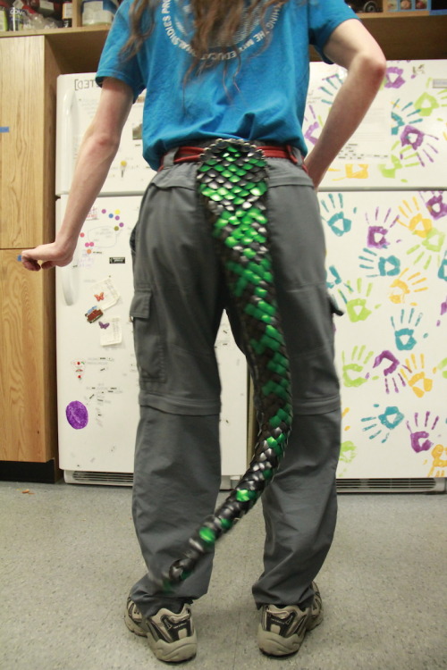 Do You Want To Be An Eighteen-foot-tall, Literal Five-headed Dragon?!?