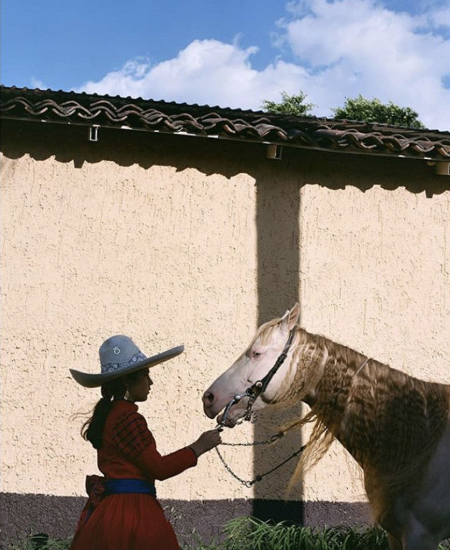 aireina:Jalisco, Mexico. 2019. Jahel Guerra