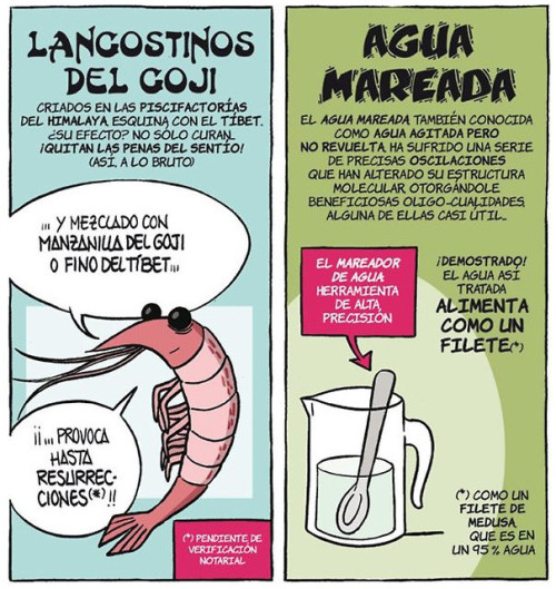 Follamos con Gordas