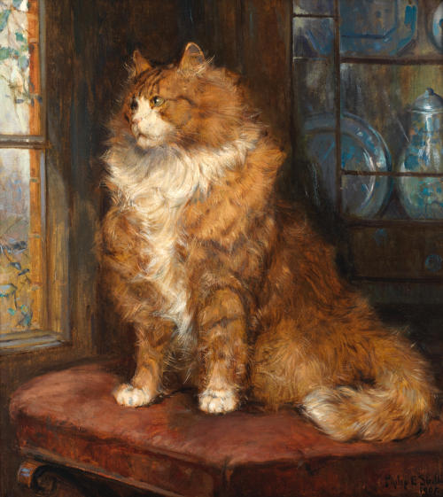 catonhottinroof:Philip Eustace Stretton Study of a ginger cat