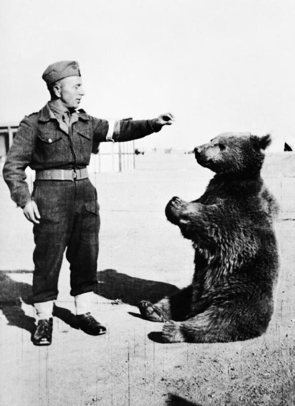 im-not-a-skelmersdale-monster: congenitaldisease:   In Iran in 1943, a group of Polish