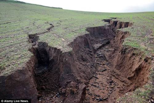 A third of arable soil lost in the last 40 yearsAs the saying goes &lsquo;if it wasn&rsquo;t for 6 i