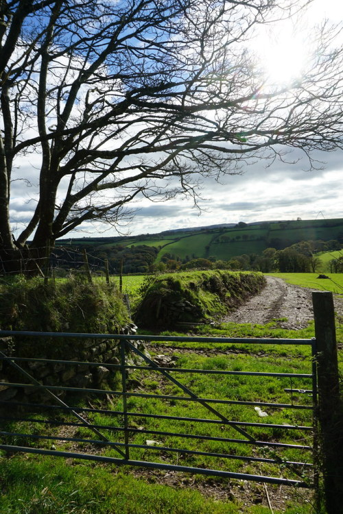 allthingseurope:  Bodmin Moor, UK (by veggiefriend)