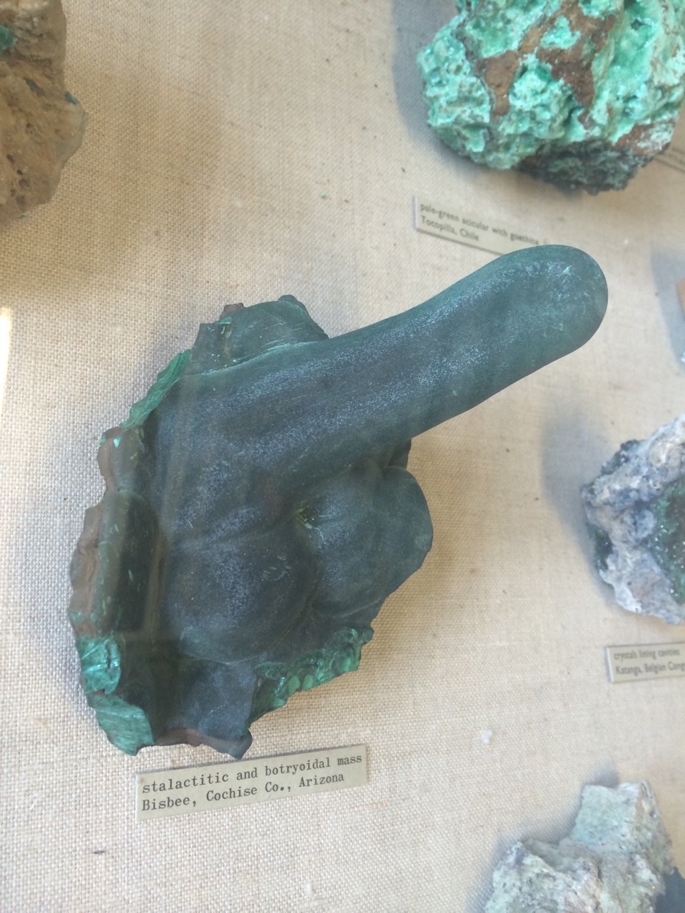 cursedbirds:  Friendly reminder that there’s a piece of malachite in the British