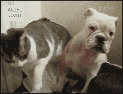 funnyimagesblog:  Funny Images http://ift.tt/1eaTLDp 
