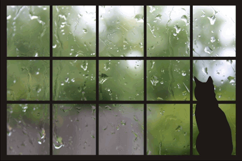 rainy&ndash;blog:  rain here