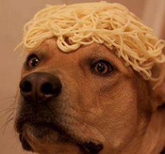 super-who-locked-in:  xx-caulfield:  this-tragic-affair:  rnikedirnt:  being against