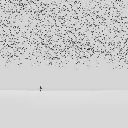  Regret Hossein Zare 