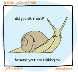 pleatedjeans:  Round 2: Animal Pickup Lines