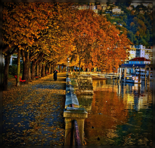 bookofoctober: Locarno, Switzerland. Photo by Izakigur