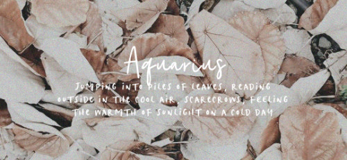 cruvcio:The signs as fall aesthetics   🍁 // (info)