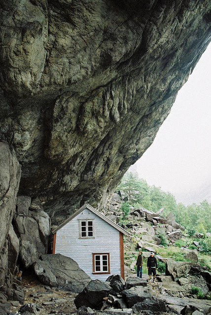 vintageux:  vintage/nature