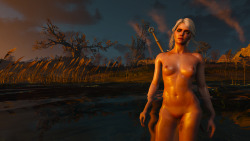xpsfm:  OK…since it was already installed I decided to do a little photoshoot before I continue to play ciriously. Touched it up just a little.If you want them pics in HD get them here: Click Changed Geralt to Ciri with Debug Console from hereRemember