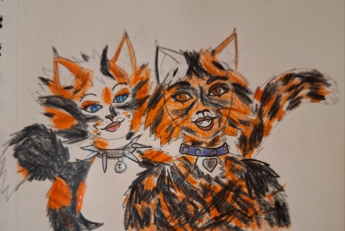 Art Idea: Draw Your Favourite Kitten All Grown Up! What Role Do They Take In The Tribe?