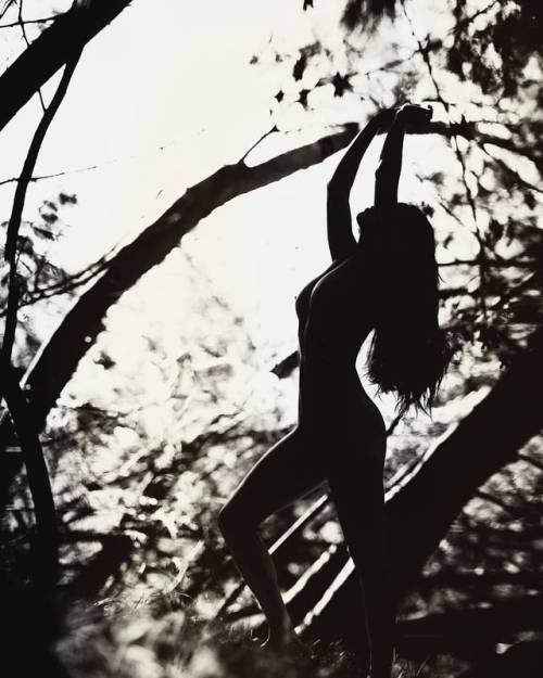 #viernesdesiluetas . . . . .  #Temuco #book #nature #girl #silhouette #silueta #bosque #desnudaenlan