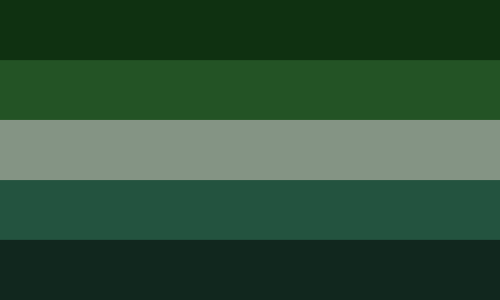 Another Aromantic Flag RedesignThis is another redesign I came up with not long ago that more resemb