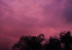 wonderless-s:Pink rainy skies