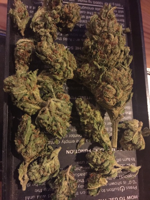 💜❤️‍🔥💜