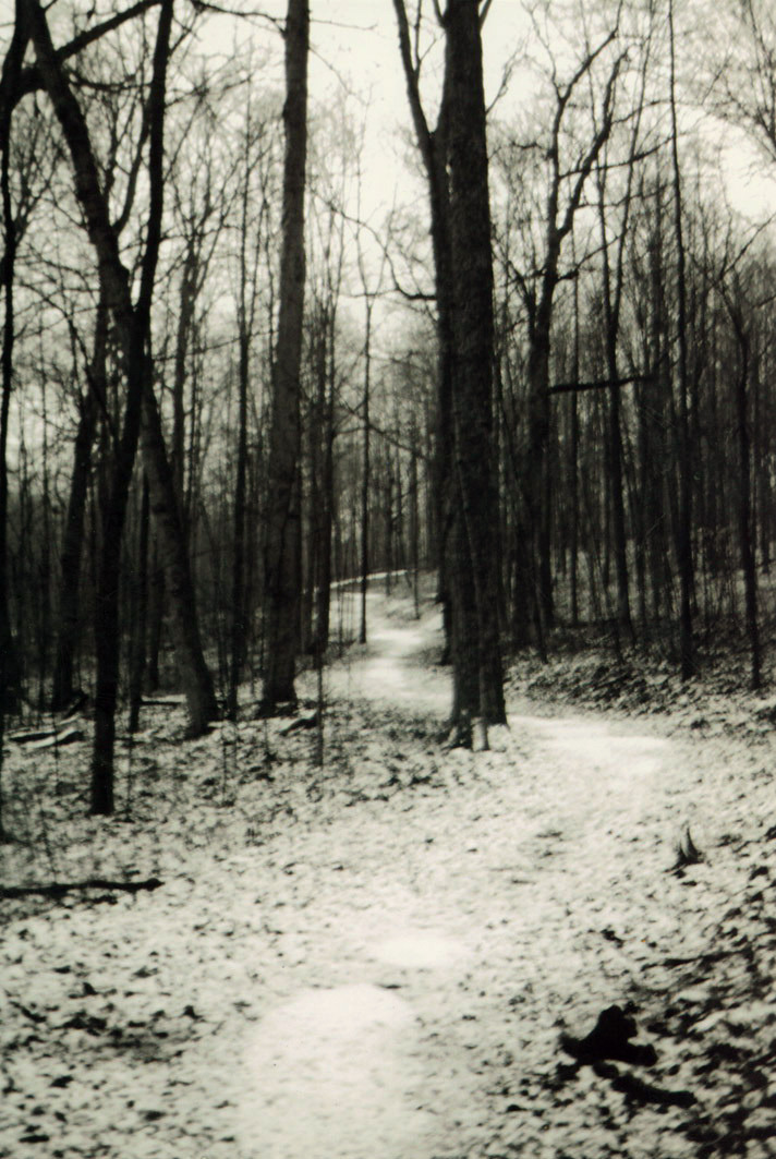 erik-truchinski:    Autumn Wind Photography Erik Truchinski http://www.flickr.com/photos/autumnwp/