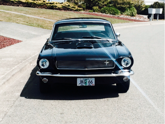 fuckyeahfordmustangs:  For sale in Oregon!