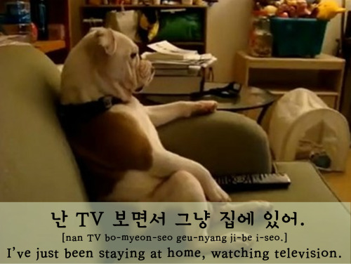 [Learn Korean] 난 TV 보면서 그냥 집에 있어. =I&rsquo;ve just been staying at home, watching television